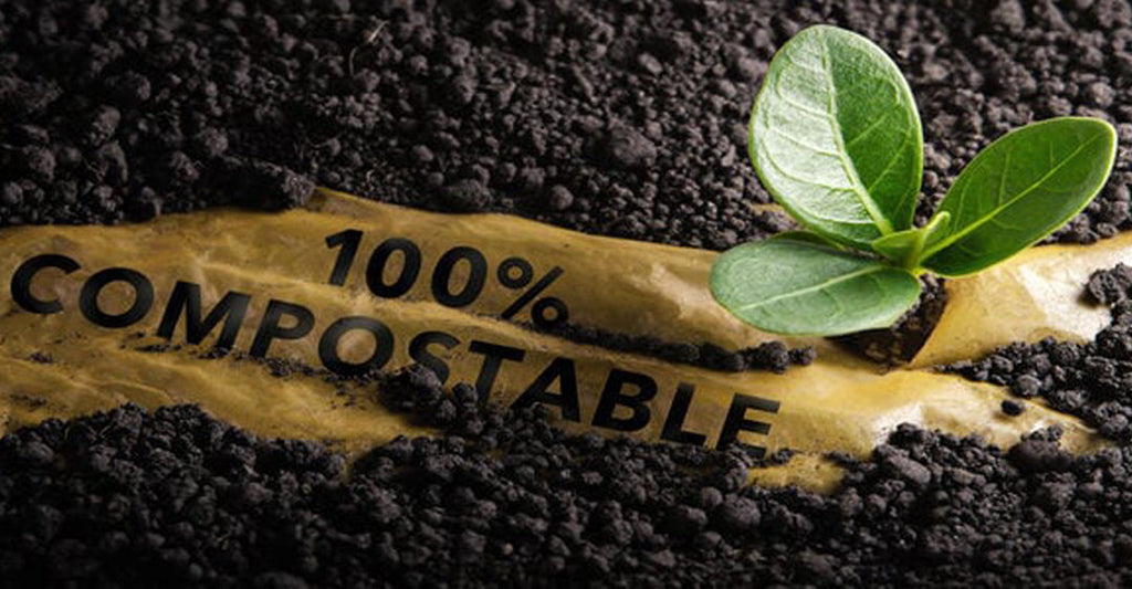 Embracing Sustainability: Popular Indian Brands and Compostable Packaging